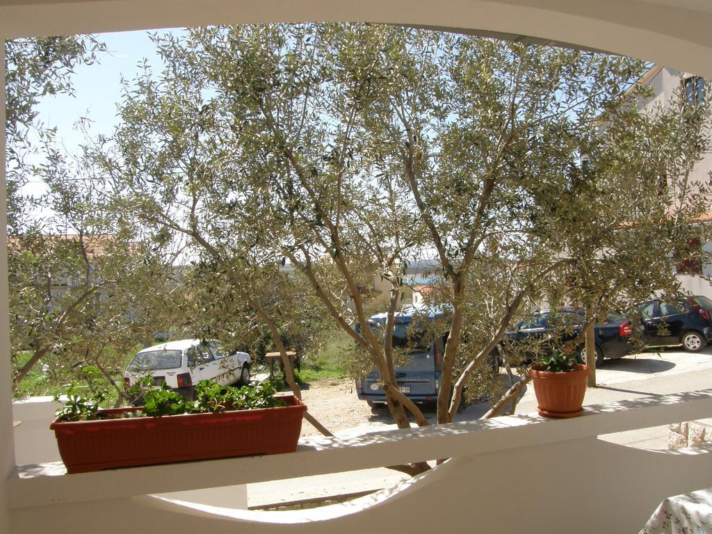 Apartments Marino Povljana Esterno foto